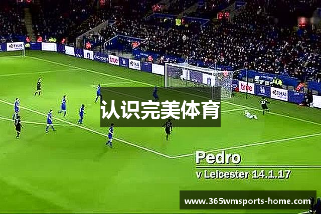 认识完美体育